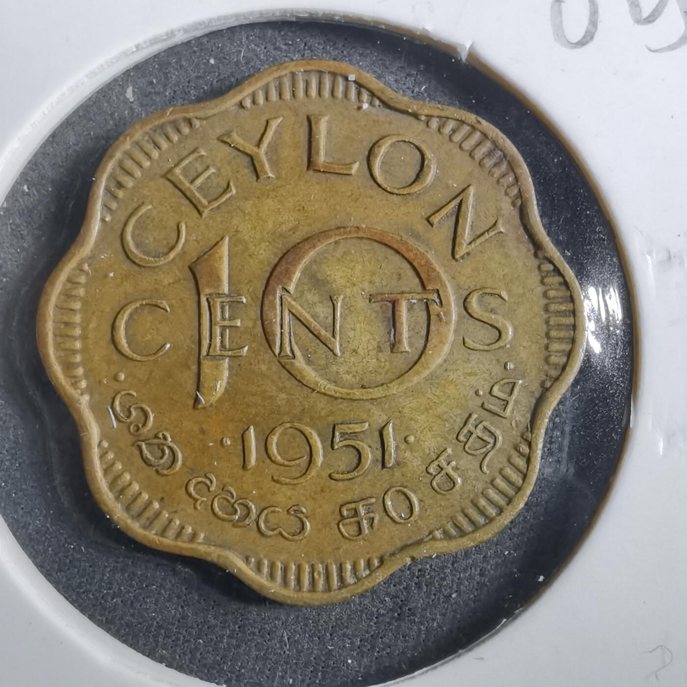 沼泽如烟--第902场