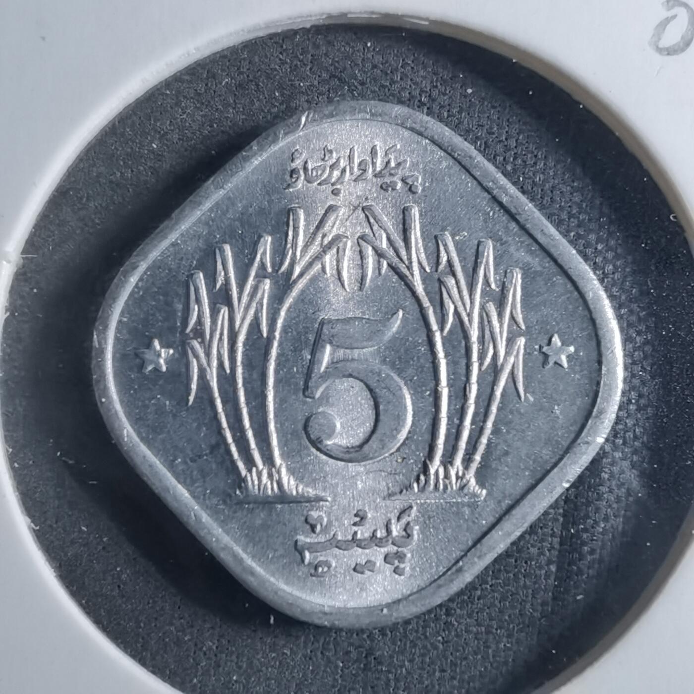 沼泽如烟--第902场