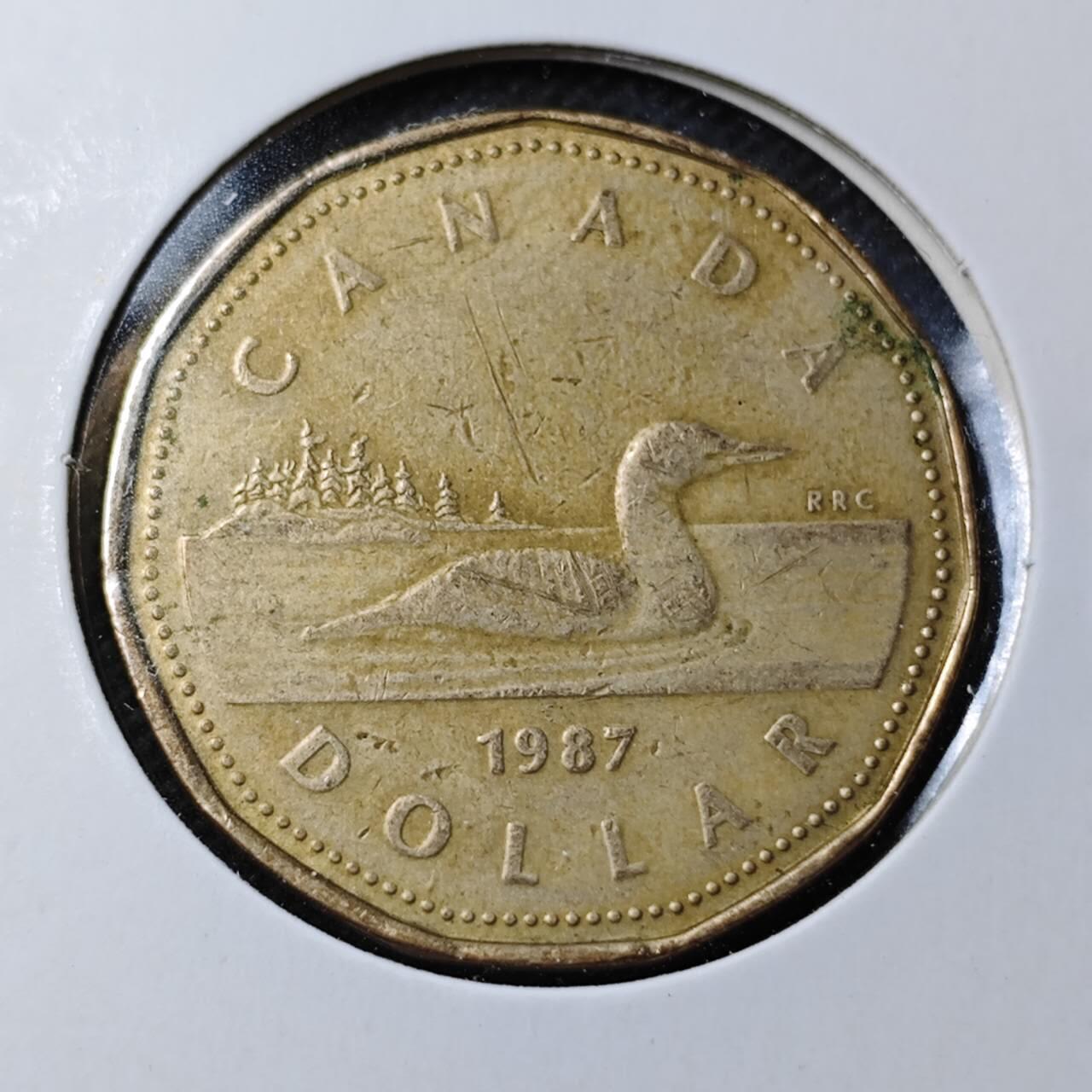 KK钱币收藏小铺  第369场  2月预留时间 周末发货  加拿大一元