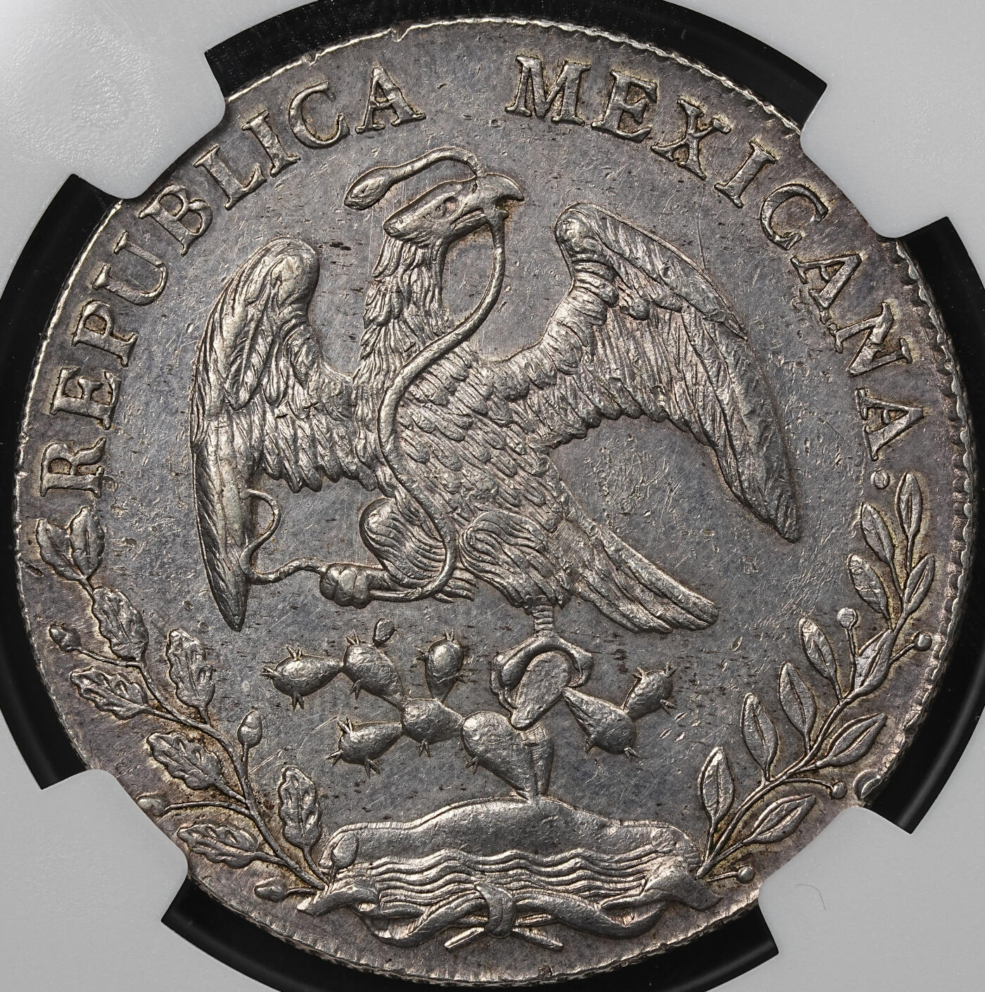 修遠堂世界钱币第九十三期