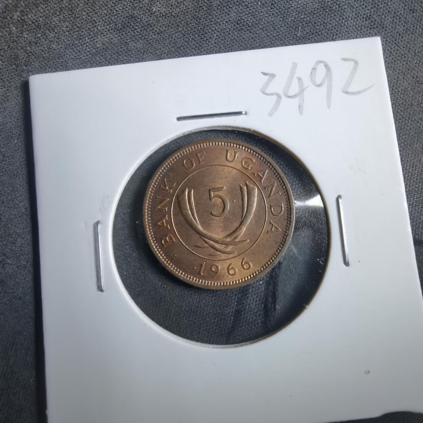 沼泽如烟--第902场