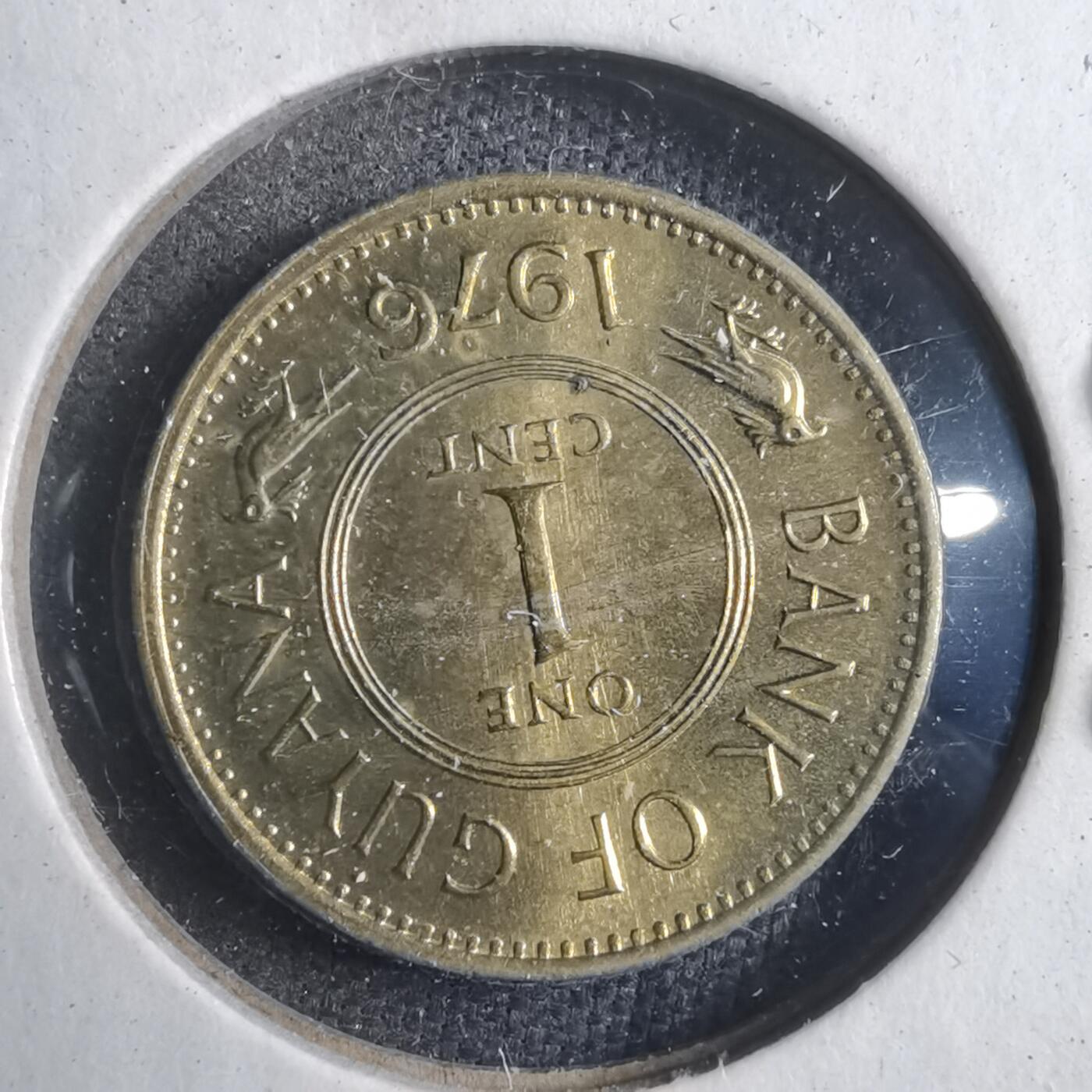 沼泽如烟--第902场