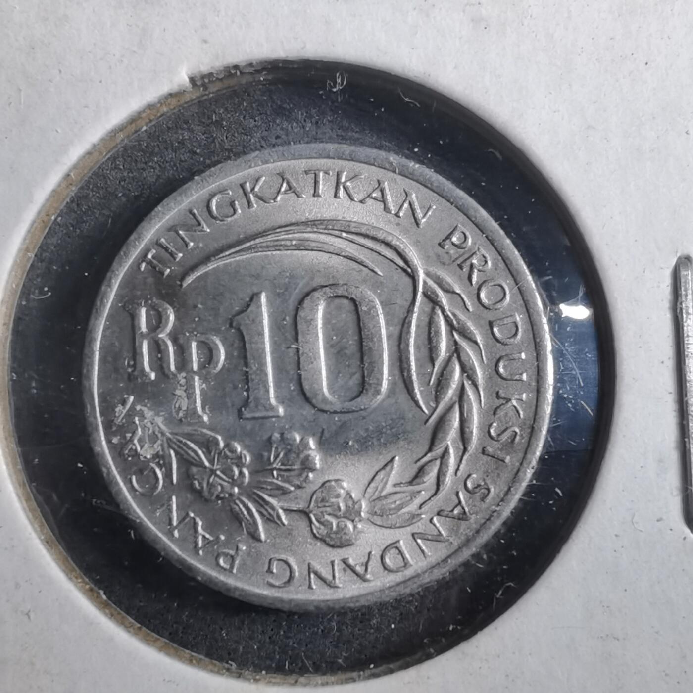 沼泽如烟--第902场