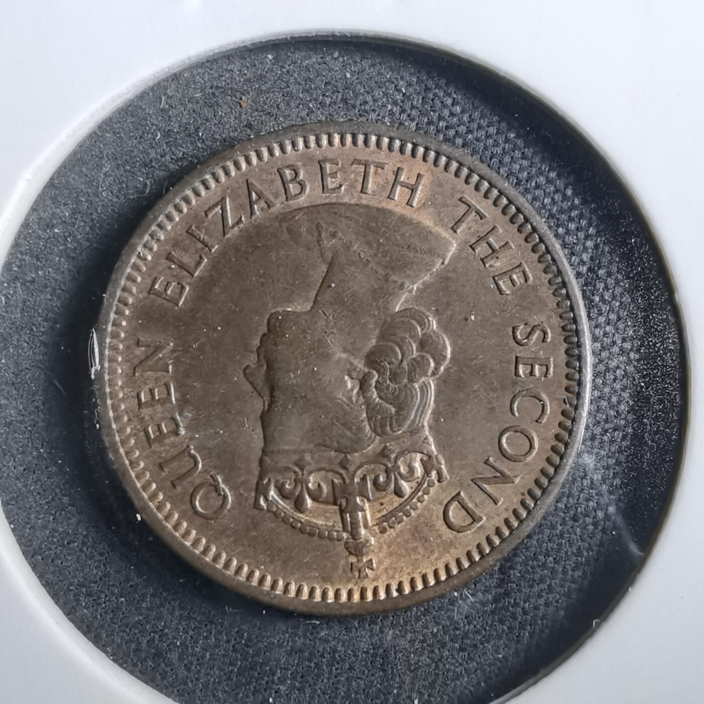 沼泽如烟--第902场