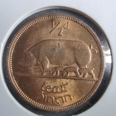 沼泽如烟--第902场 - 爱尔兰1966年半便士