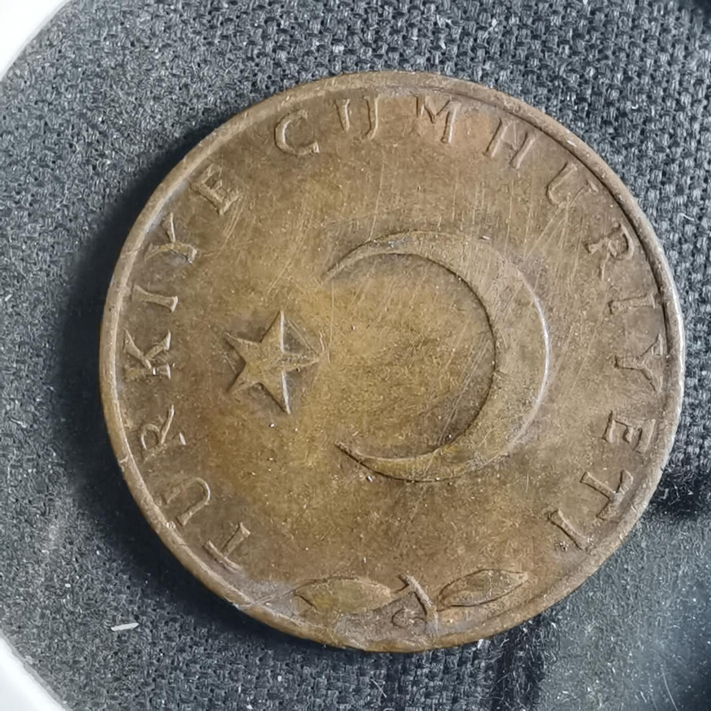 沼泽如烟--第902场