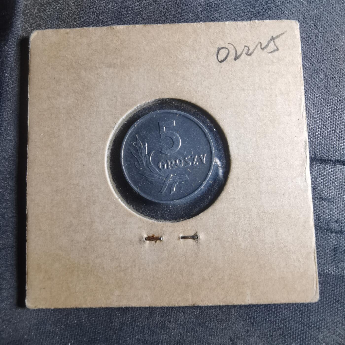 沼泽如烟--第902场