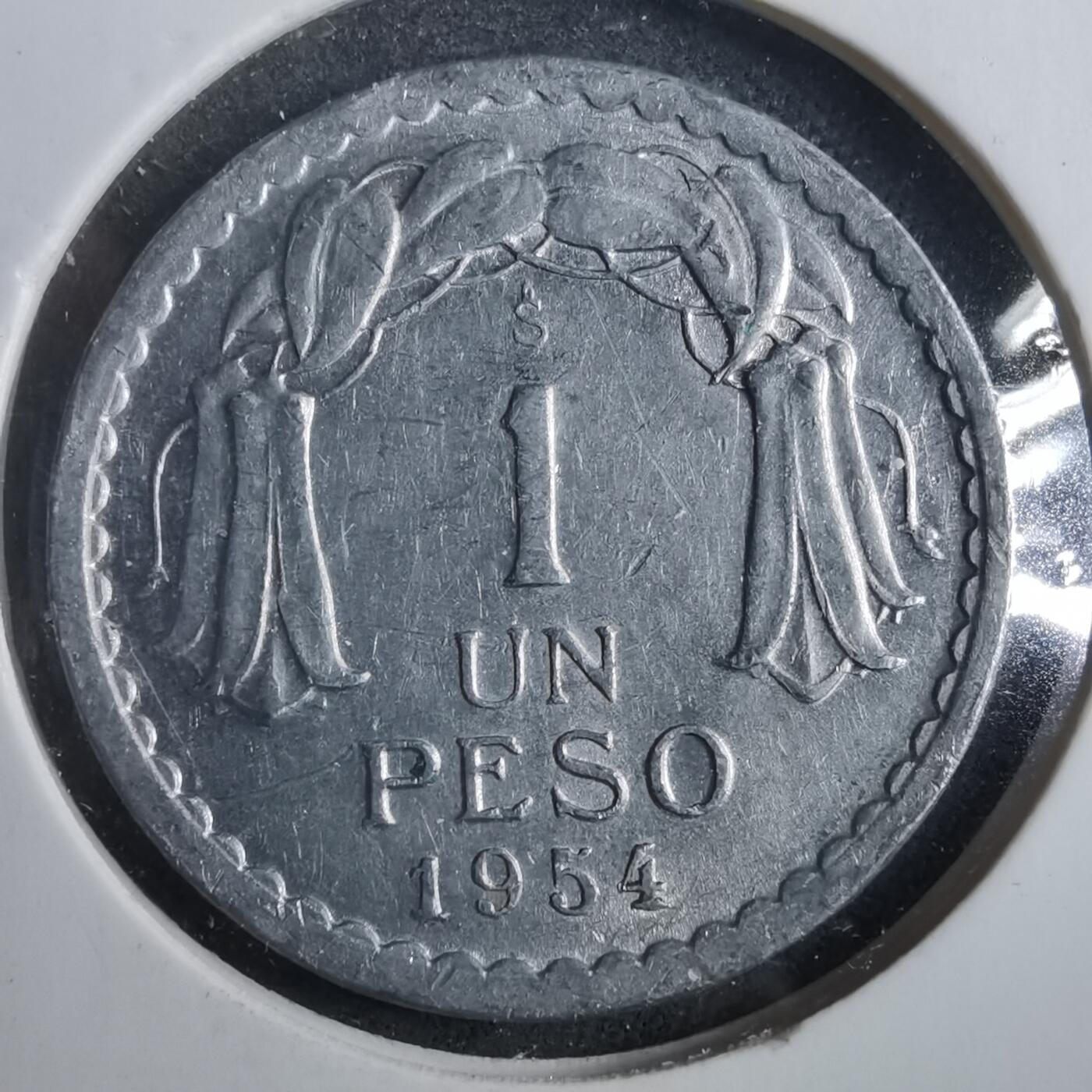 沼泽如烟--第902场