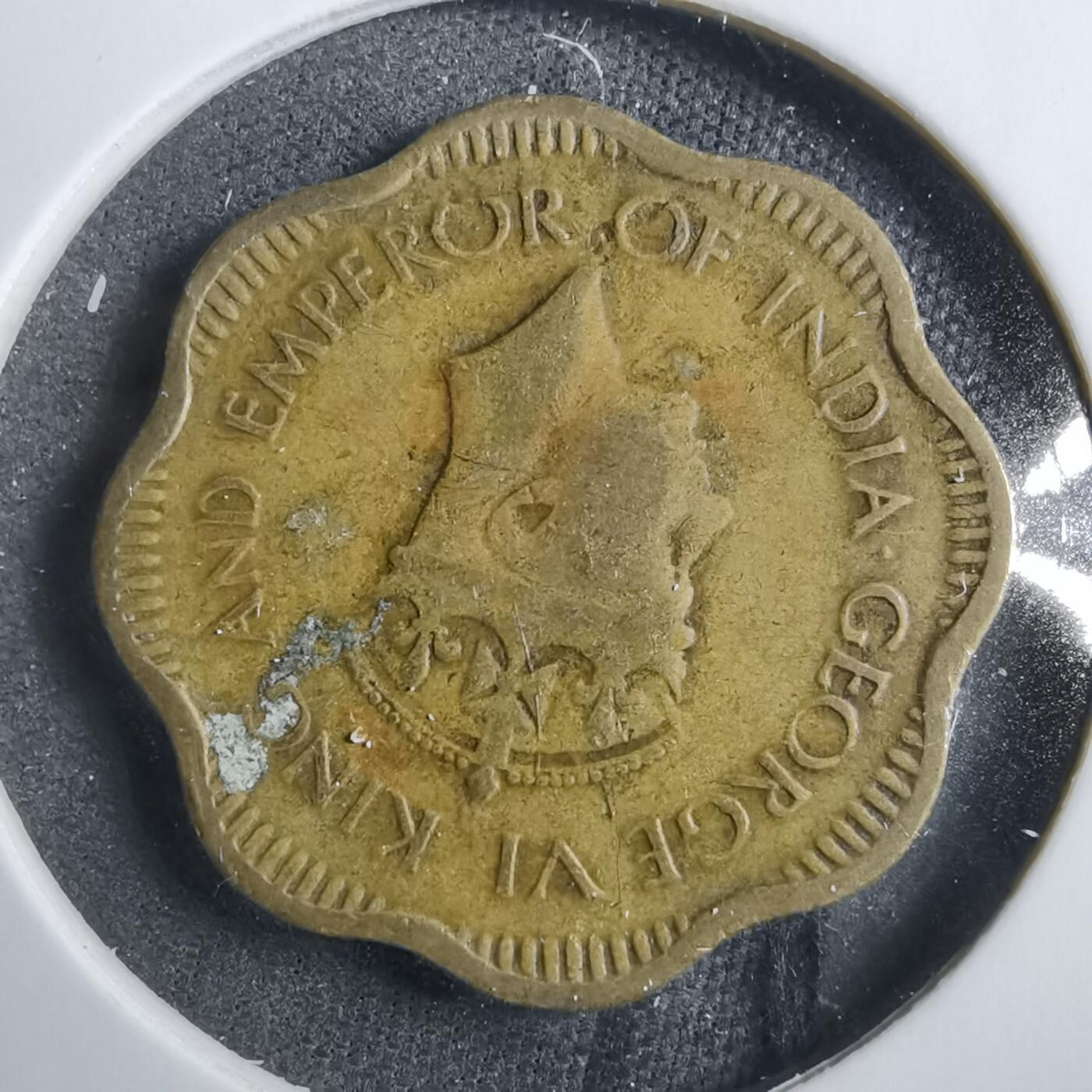 沼泽如烟--第902场