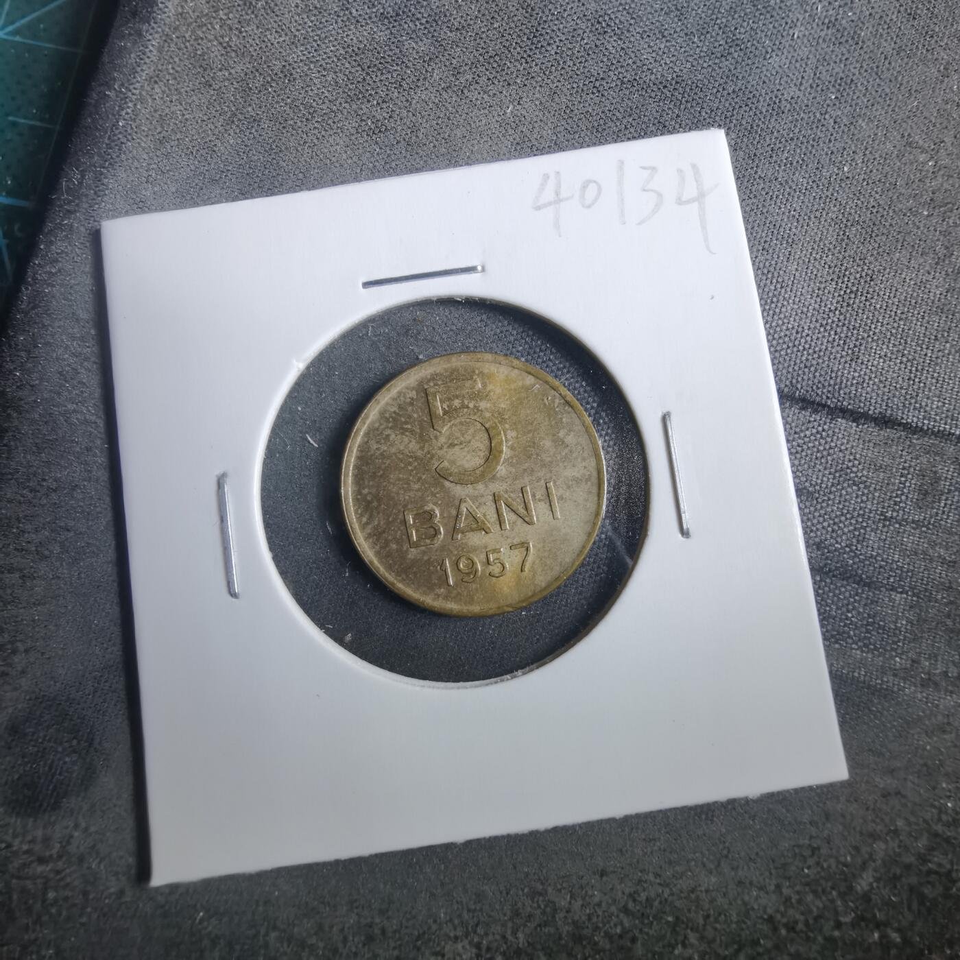 沼泽如烟--第902场