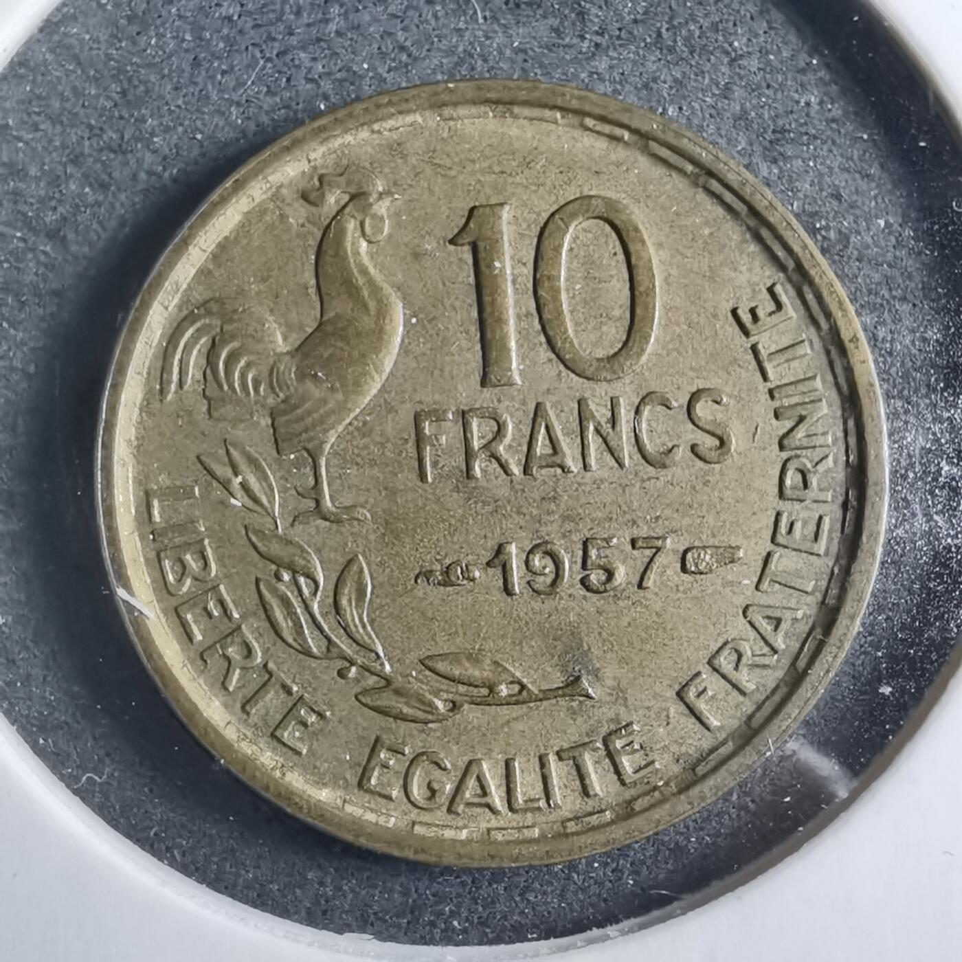 沼泽如烟--第902场