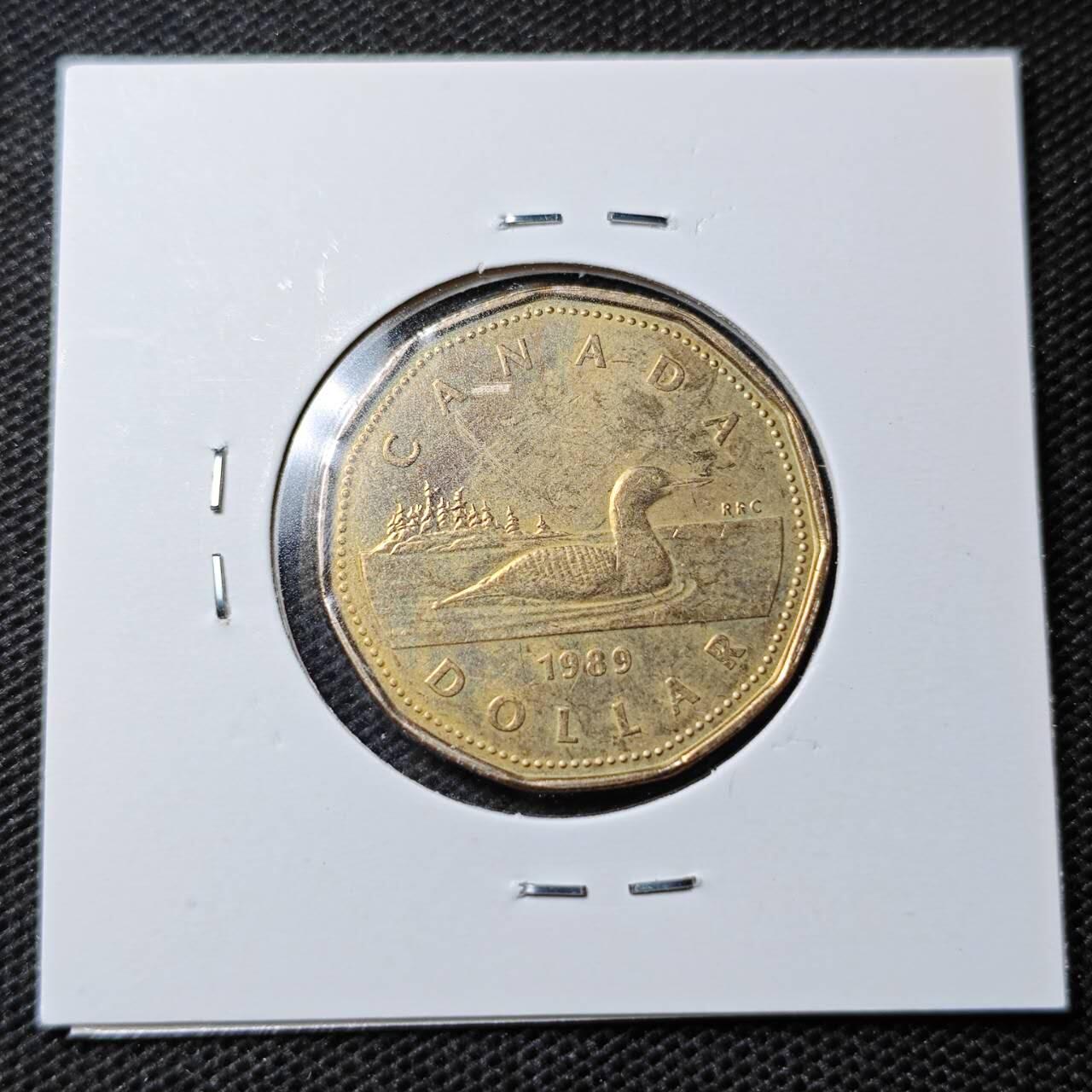 KK钱币收藏小铺  第369场  2月预留时间 周末发货  加拿大一元