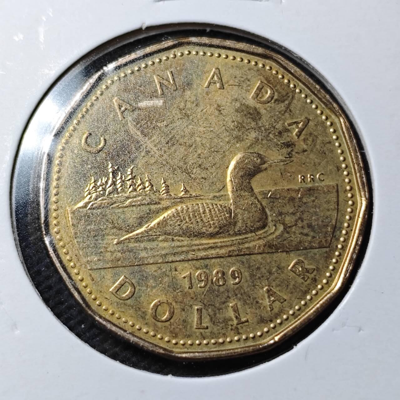 KK钱币收藏小铺  第369场  2月预留时间 周末发货  加拿大一元