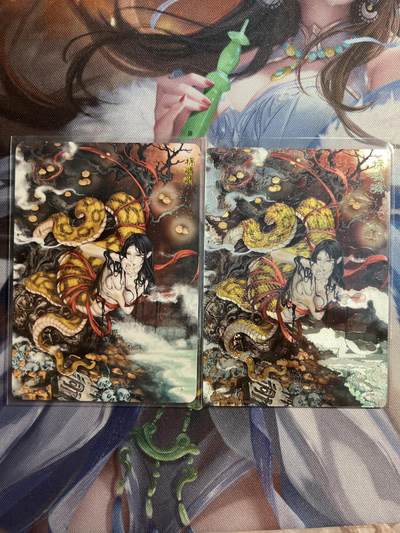 欢迎送拍、零成本上架，释放现金流，合理分配上拍卡品 - 【折光、普卡】柿嶙嶙 范特卡&春芳西游