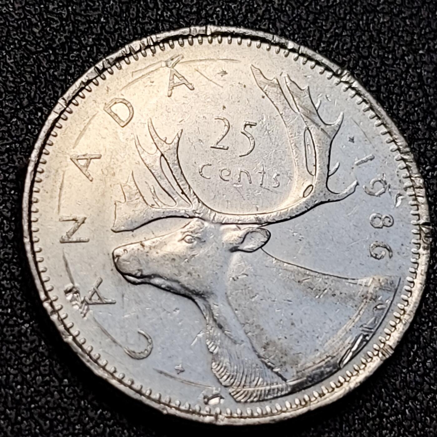 泉币菌-第128附加场-精品福利场（本场拍品多，请提前出价） 。