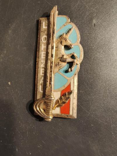 老王徽章第163期 13-15日三场连拍 16日统一发货  13、14日结束后可寄存 -  法国陆军联合作战学校学员晋升证章