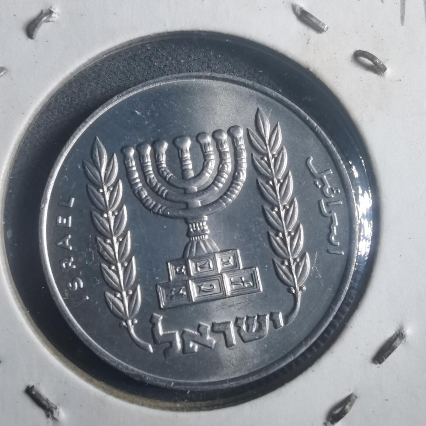 沼泽如烟--第903场