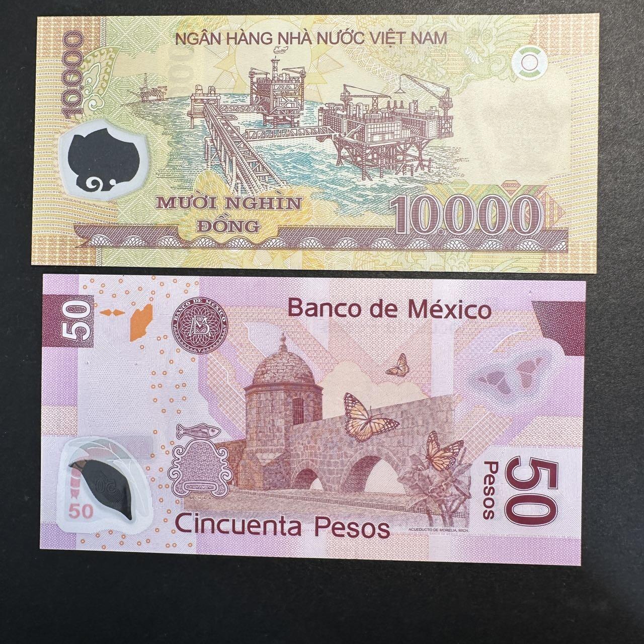 蒂克钱币-第47场 外国平价纸币拍卖 越南墨西哥塑料钞2枚 