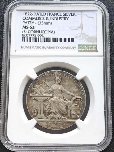 【德藏】世界币章拍卖第153期（拍品征集中~欢迎藏友联系） - 1822年 法国商业和工业部专家会议纪念银章代用币 NGC MS62 原味包浆 图案刻画细致