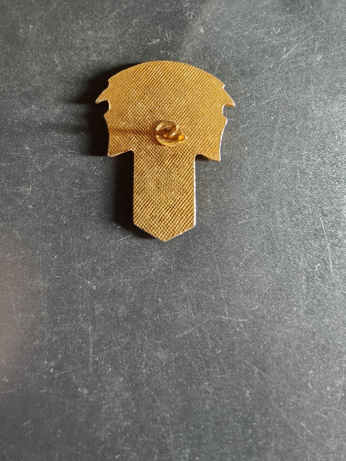 老王徽章第163期 13-15日三场连拍 16日统一发货  13、14日结束后可寄存