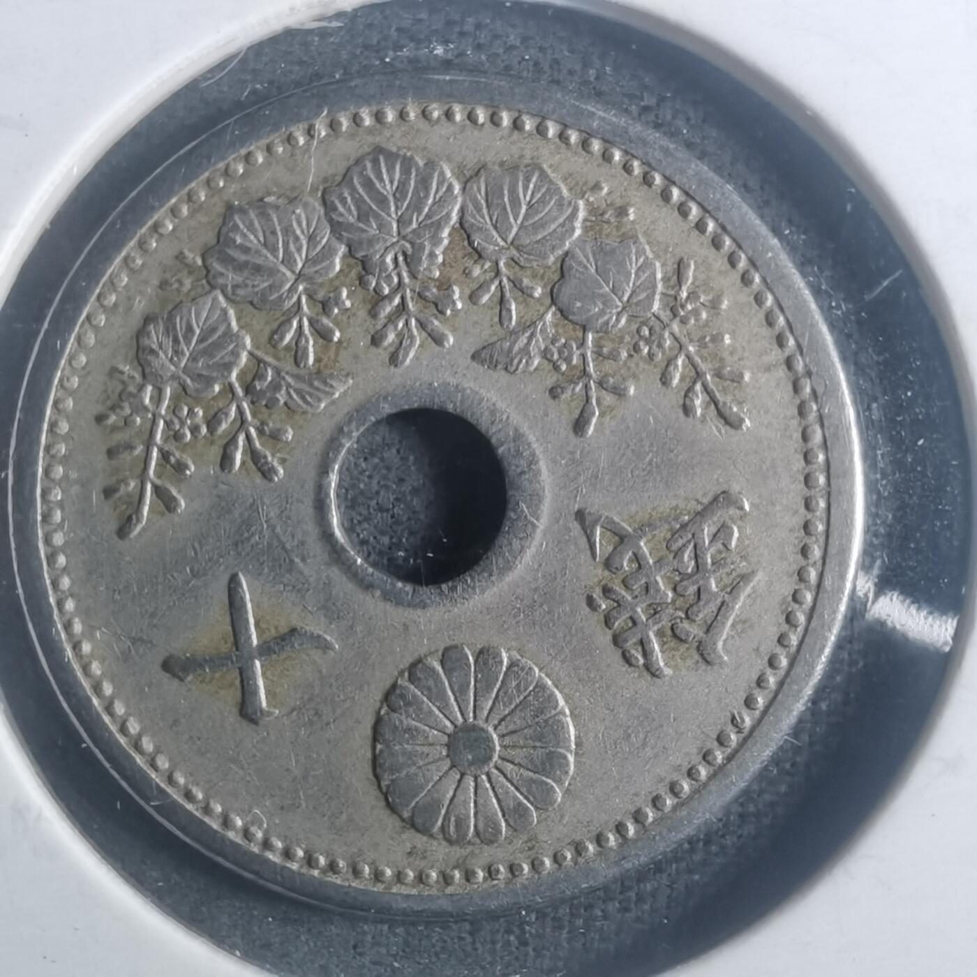 沼泽如烟--第900场