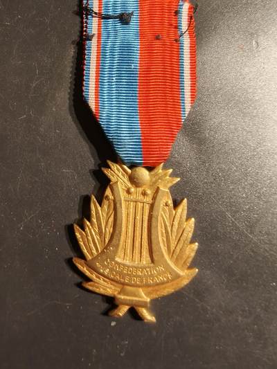 老王徽章第163期 13-15日三场连拍 16日统一发货  13、14日结束后可寄存 -  法国金级音乐协会奖章