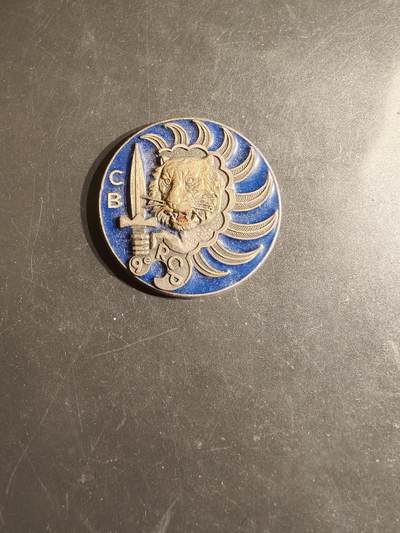 老王徽章第163期 13-15日三场连拍 16日统一发货  13、14日结束后可寄存 - 法国陆军第9伞降猎兵团证章