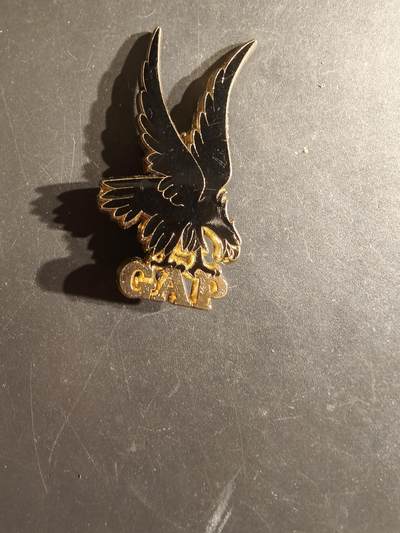 老王徽章第163期 13-15日三场连拍 16日统一发货  13、14日结束后可寄存 - 法国陆军空降兵团证章 