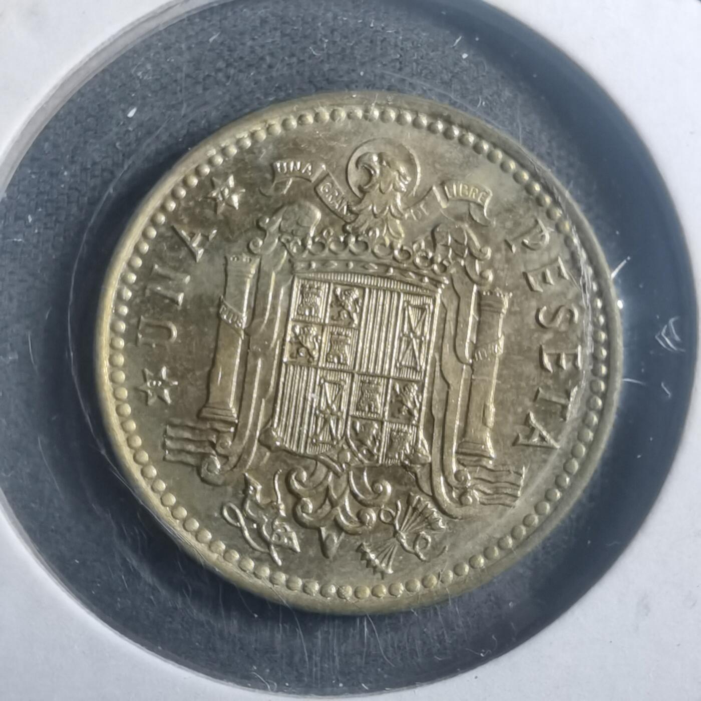 沼泽如烟--第903场