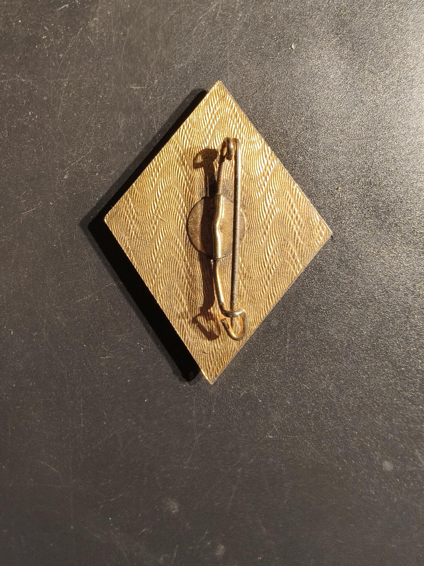 老王徽章第163期 13-15日三场连拍 16日统一发货  13、14日结束后可寄存 法国外籍军团第1步兵团证章 