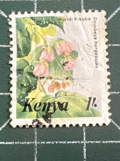 第1052 邮票专场 （无押金，捡漏，全场50包邮，偏远地区除外，接收代拍业务，本店十天发一次货） - 珍稀花卉邮票