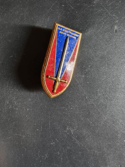 老王徽章第163期 13-15日三场连拍 16日统一发货  13、14日结束后可寄存 -  法国圣西尔军校证章