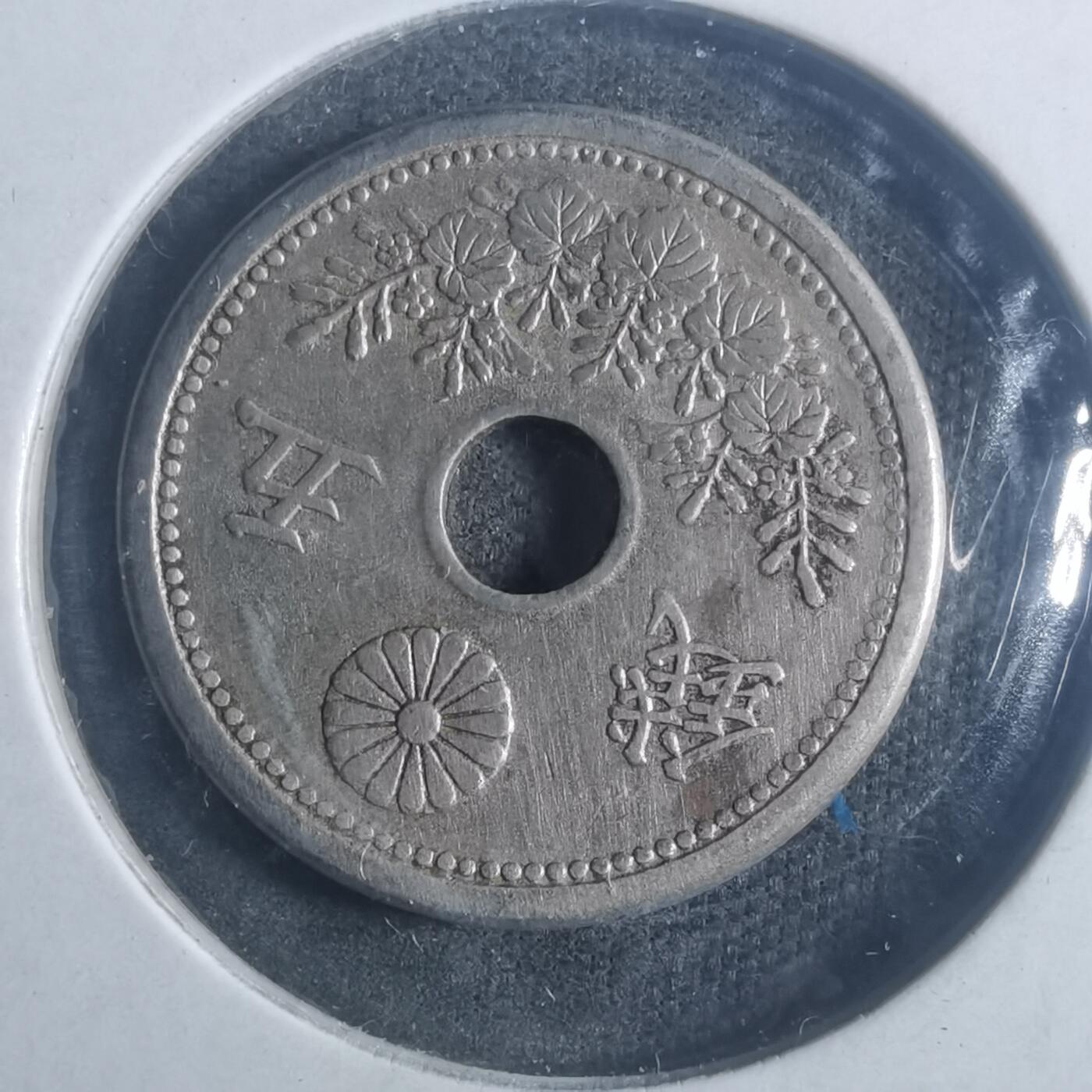 沼泽如烟--第900场