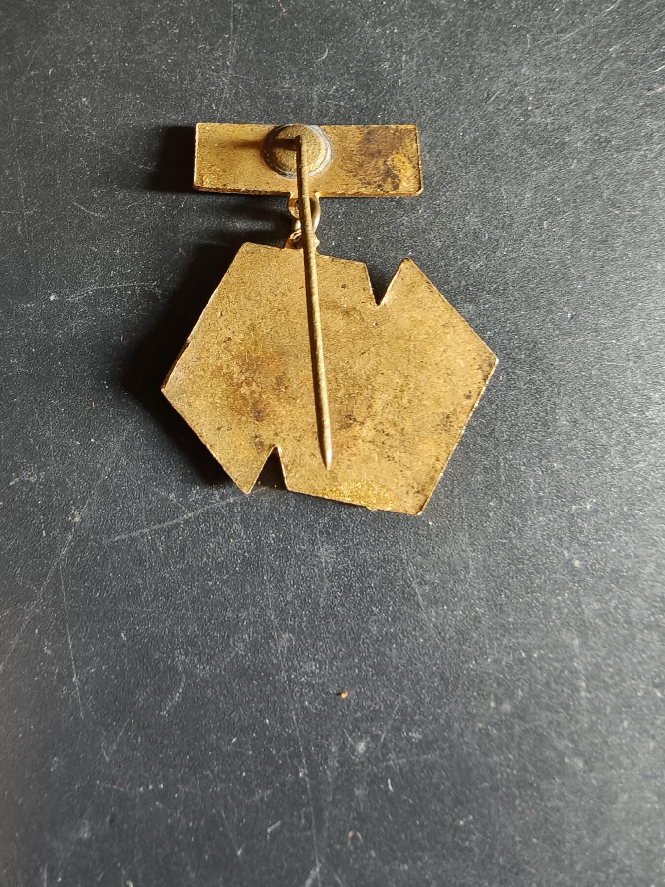 老王徽章第163期 13-15日三场连拍 16日统一发货  13、14日结束后可寄存  波兰青年社会主义者联盟证章