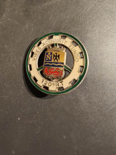 老王徽章第163期 13-15日三场连拍 16日统一发货  13、14日结束后可寄存 - 法国第130运输团证章 