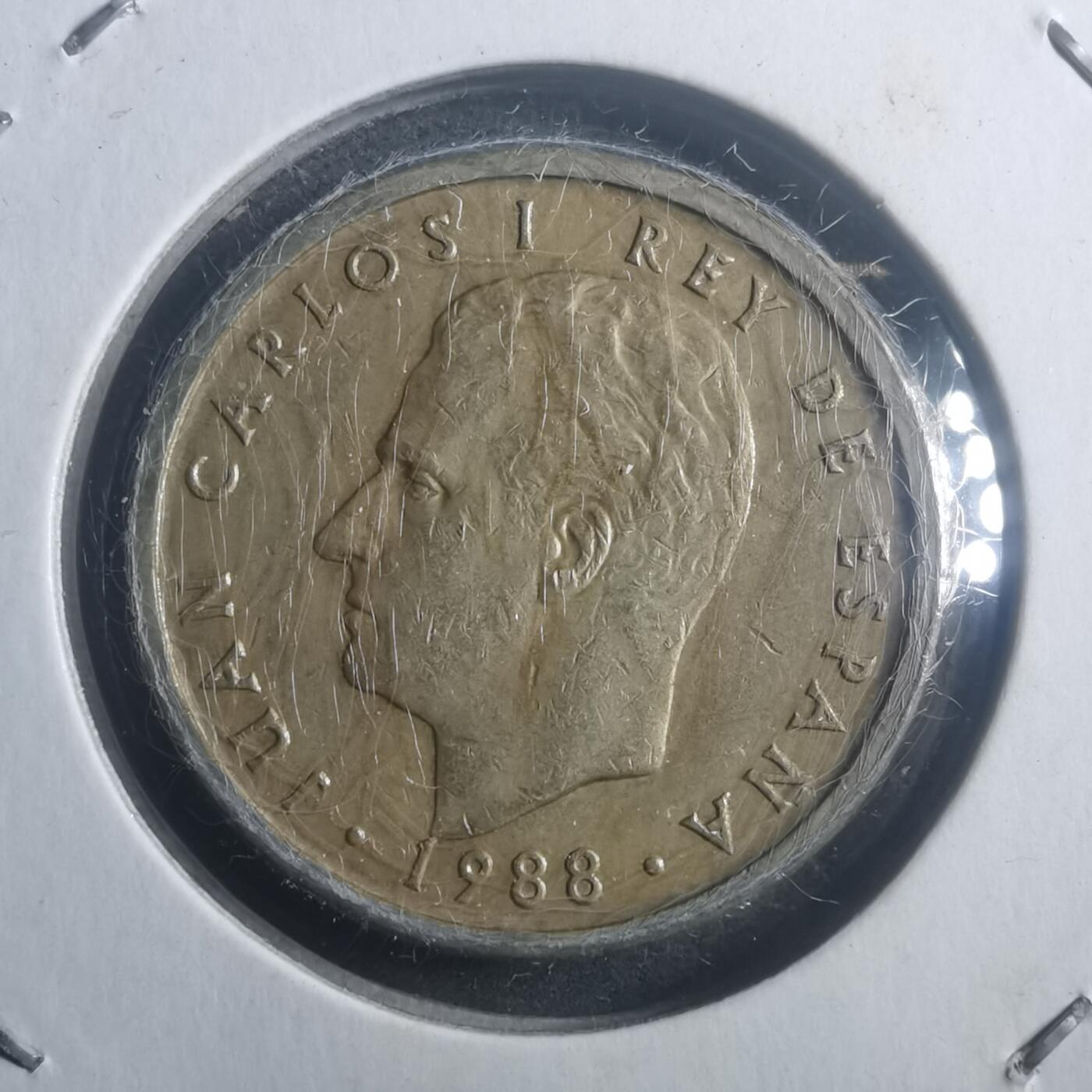 沼泽如烟--第903场