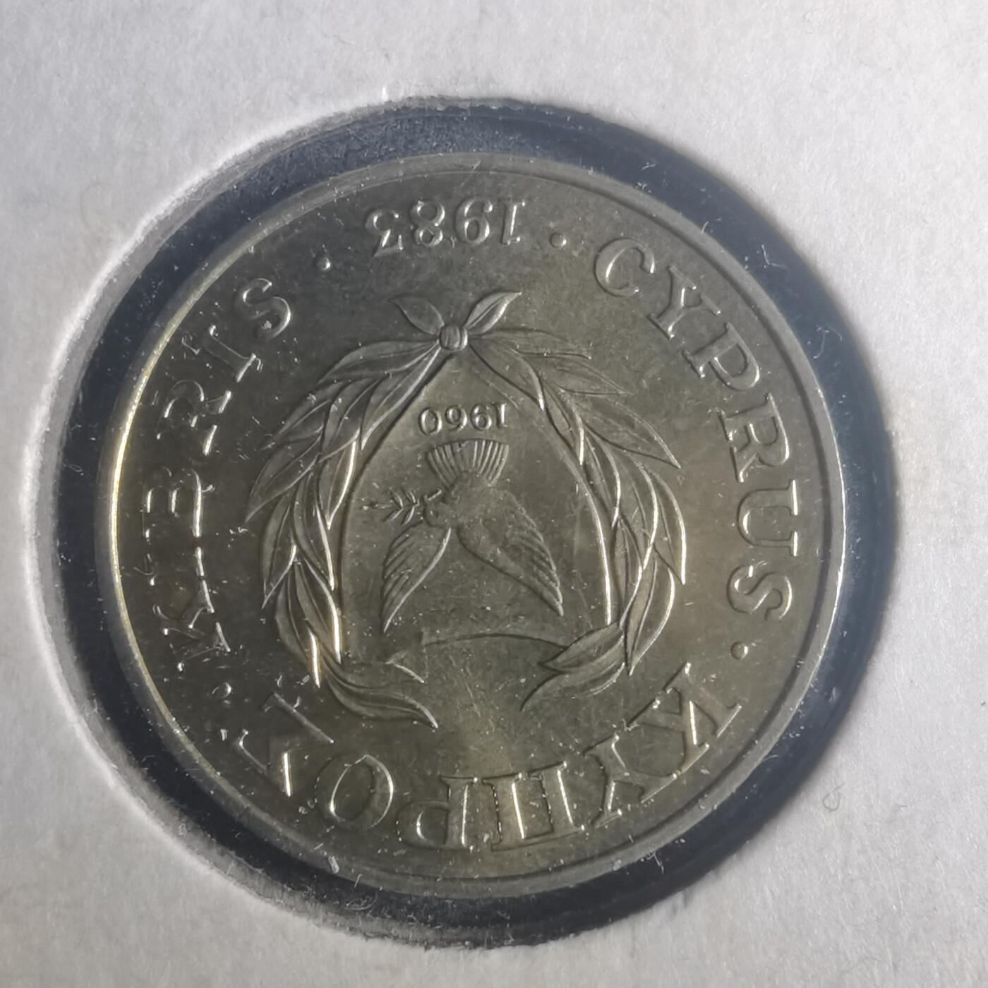 沼泽如烟--第900场