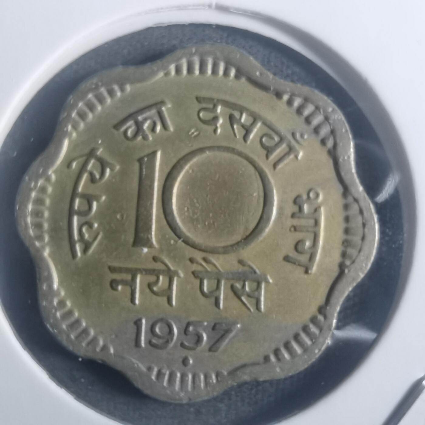 沼泽如烟--第900场