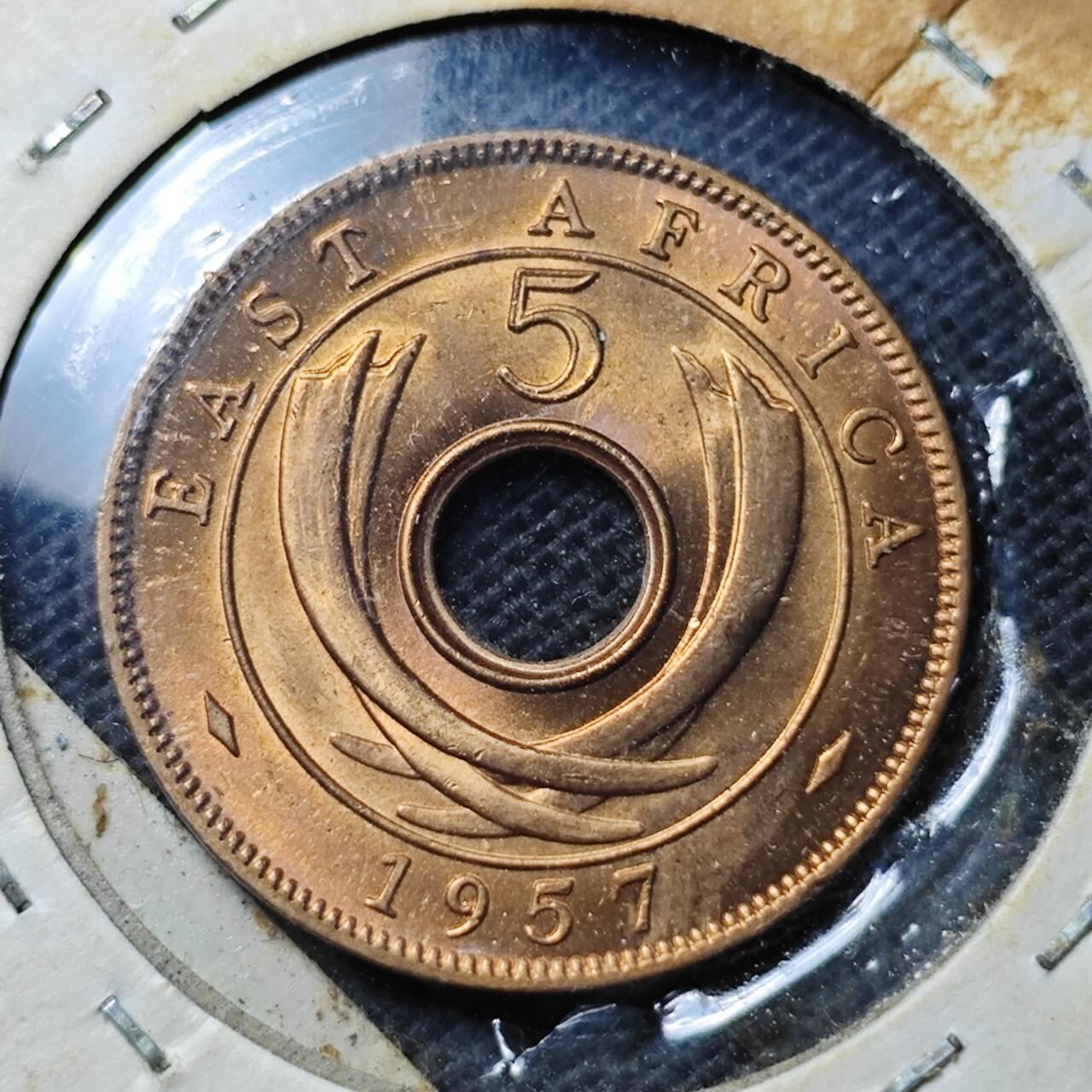 KK钱币收藏小铺  第369场  2月预留时间 周末发货  1957英属东非5分铜币 好品