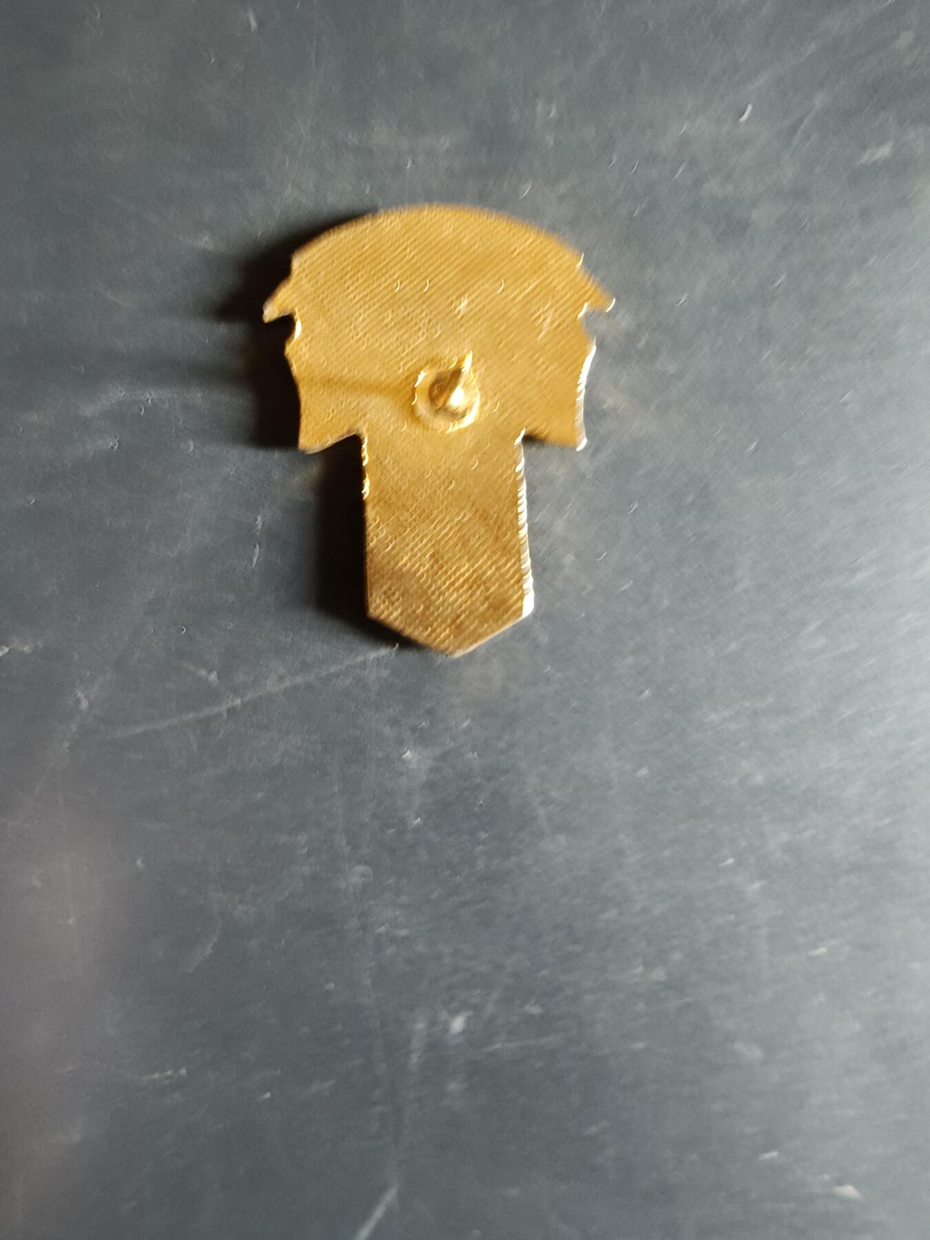 老王徽章第163期 13-15日三场连拍 16日统一发货  13、14日结束后可寄存 美国寻找战争失踪士兵协会徽章  