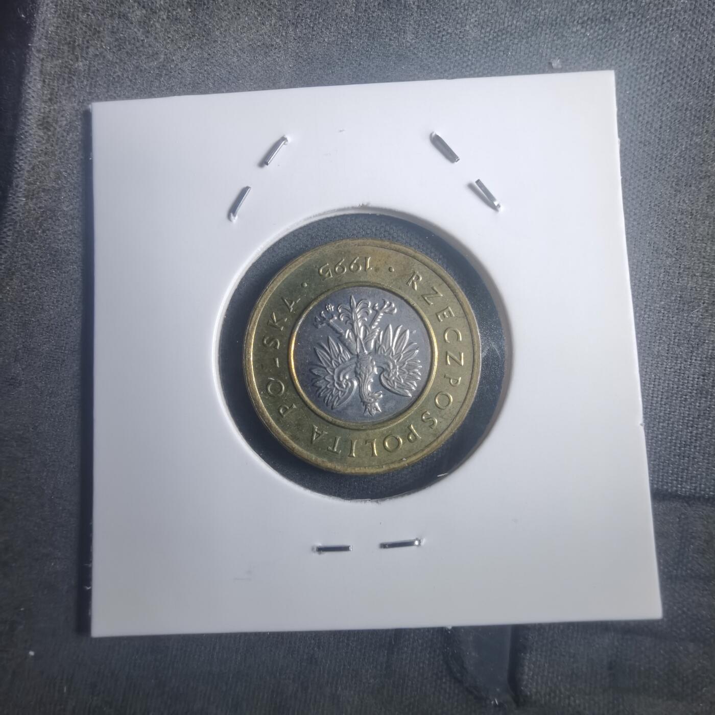 沼泽如烟--第903场