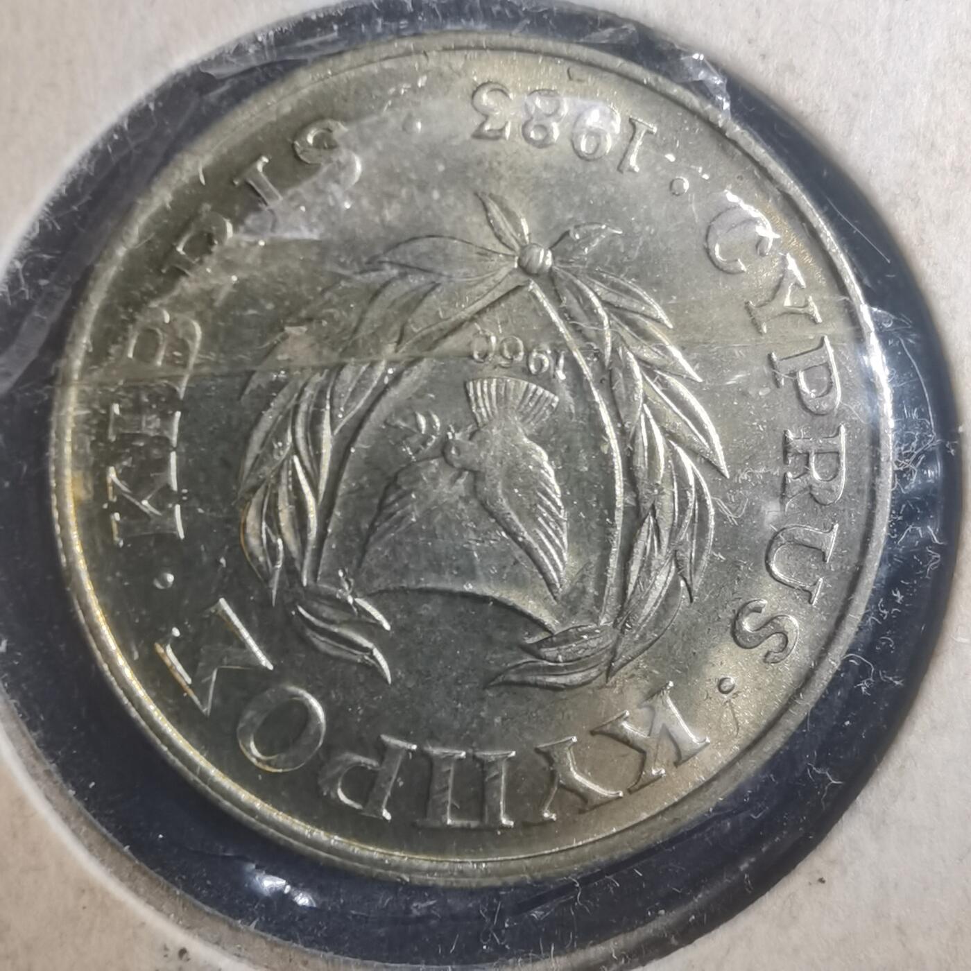 沼泽如烟--第900场