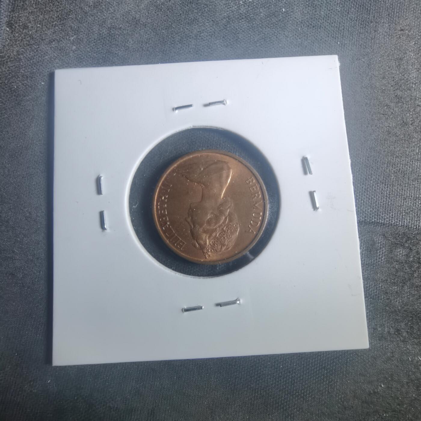 沼泽如烟--第900场