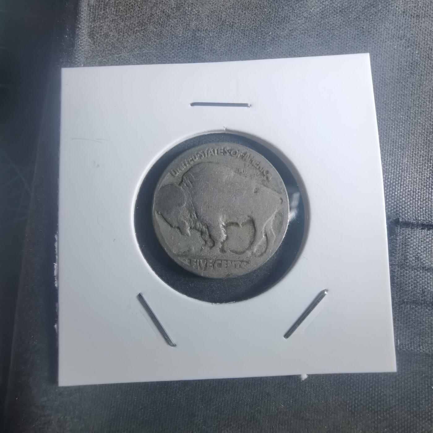 沼泽如烟--第900场 美国野牛五分