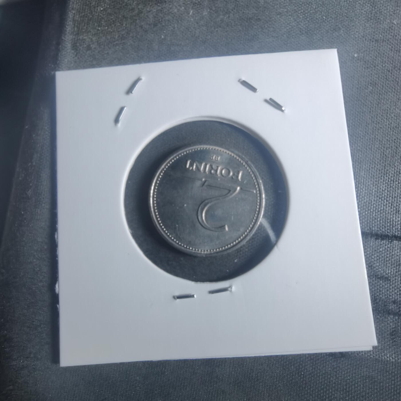 沼泽如烟--第900场