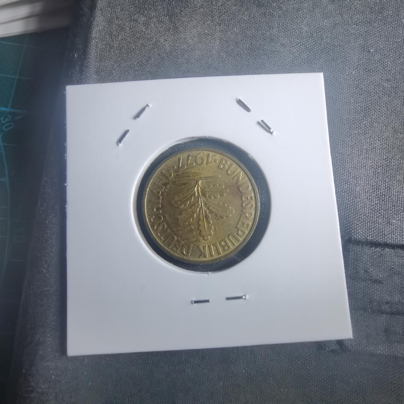 沼泽如烟--第903场