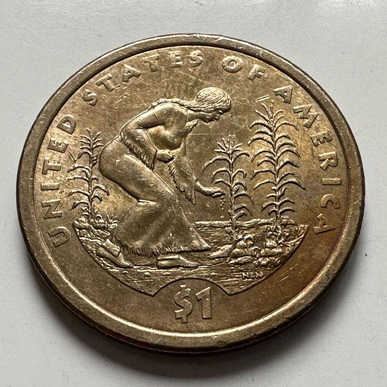 🌹外币初藏🌹🐯2025年第127场  每周二四六晚8️⃣点 接代拍 美国2009年1美元 印第安原住民a