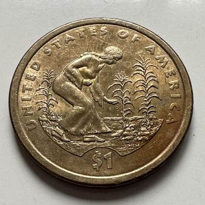 🌹外币初藏🌹🐯2025年第127场  每周二四六晚8️⃣点 接代拍 - 美国2009年1美元 印第安原住民a