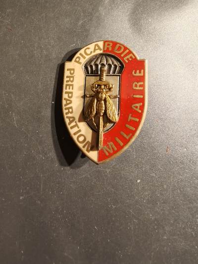 老王徽章第163期 13-15日三场连拍 16日统一发货  13、14日结束后可寄存 -  法国皮卡第军事预备役证章