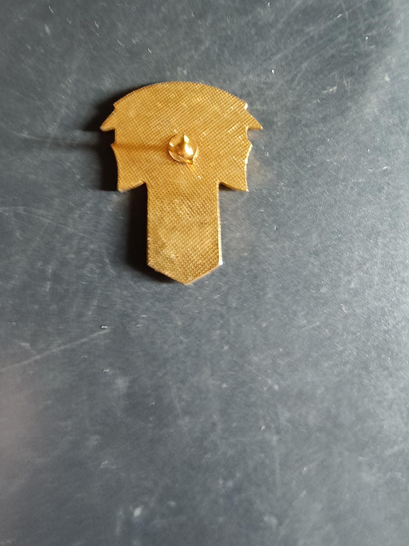 老王徽章第163期 13-15日三场连拍 16日统一发货  13、14日结束后可寄存